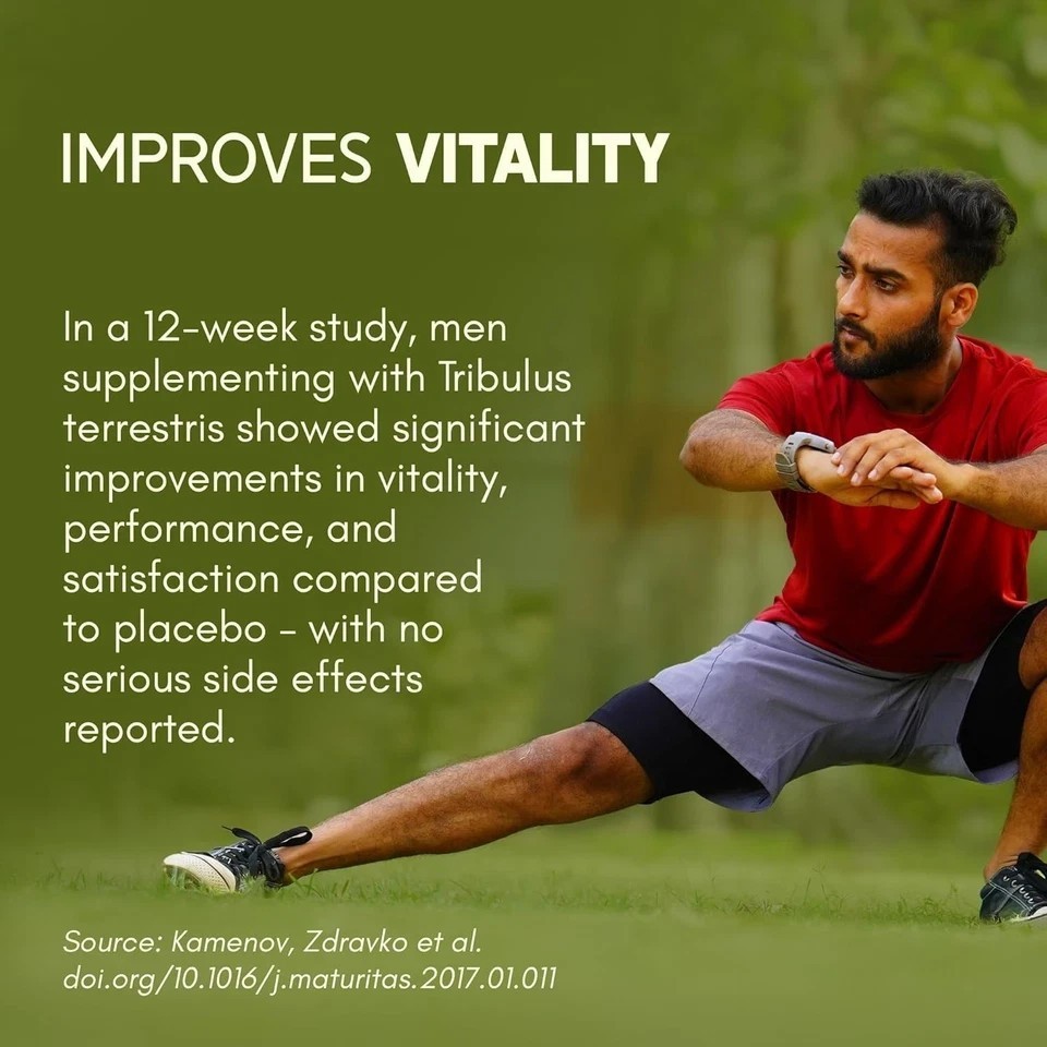 Gokshura -Puncture Vine ( Tribulus terrestris ) 1000mg – 60 Tablet ( pack of 3 )