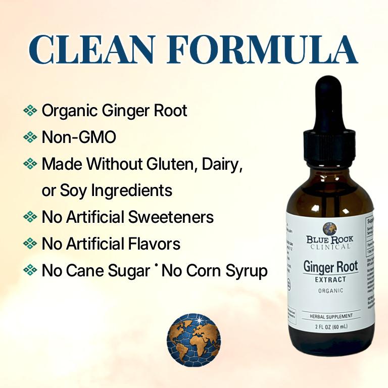 Organic Ginger Root Tincture Potent Liquid Extract Drops Herbal Supplement