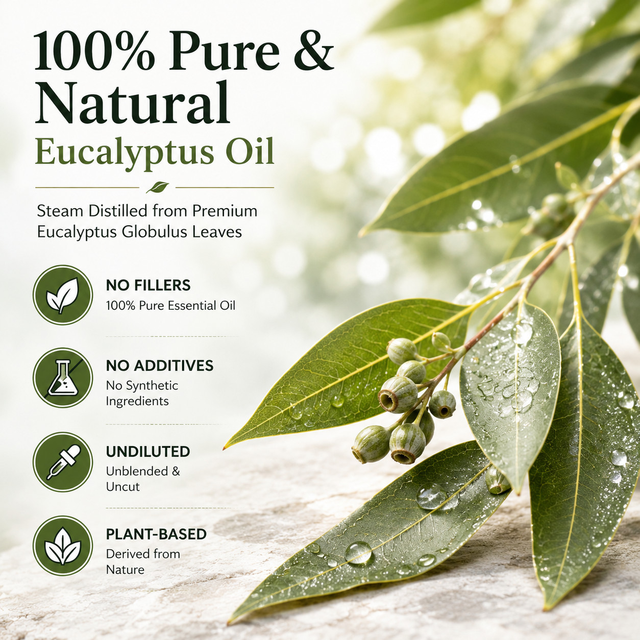 8 fl oz Eucalyptus Globulus Essential Oil (100% Pure & Natural) Glass Bottle