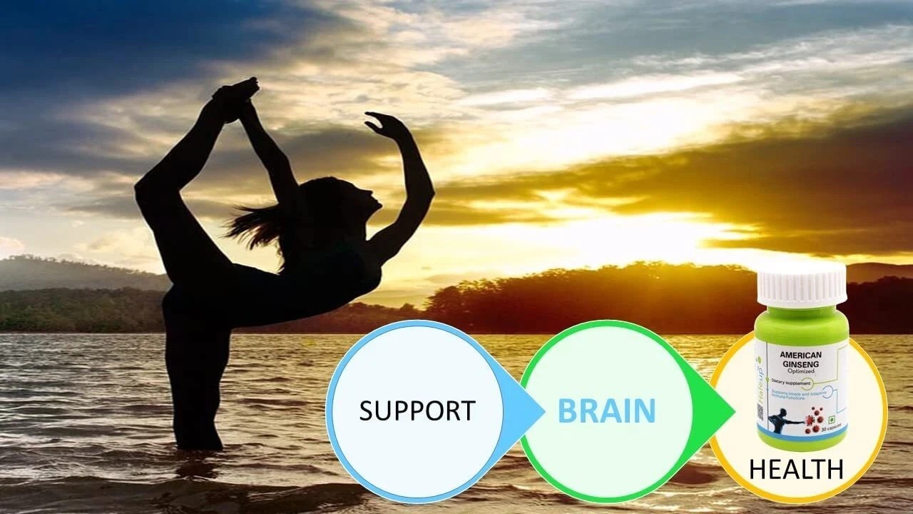 HALEUP American Ginseng 500 Mg 60 Capsules Improves Immunity | Boosts Strength