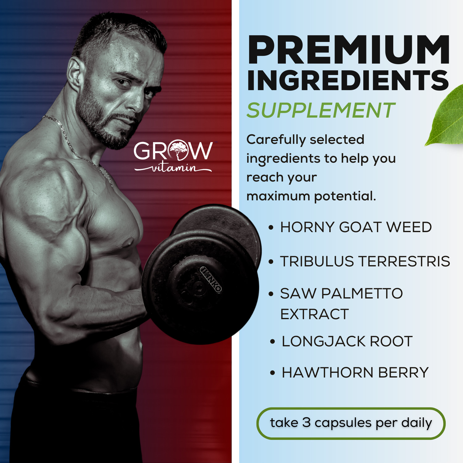 Bull Blood Male Enhancement Increase Size, Energy & Strength, 90 CAPSULES