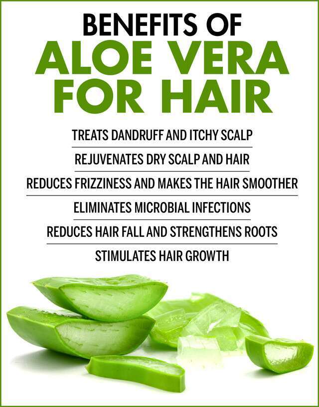 Aloe Vera Gel (THICK) 100% Pure Organic Soothing Moisturizing Skin Lotion BULK