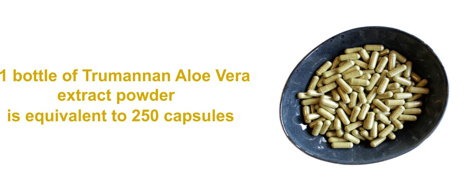 Trumannan Extra 40 % Acemannan Aloe Vera Inner Gel Extract Powder