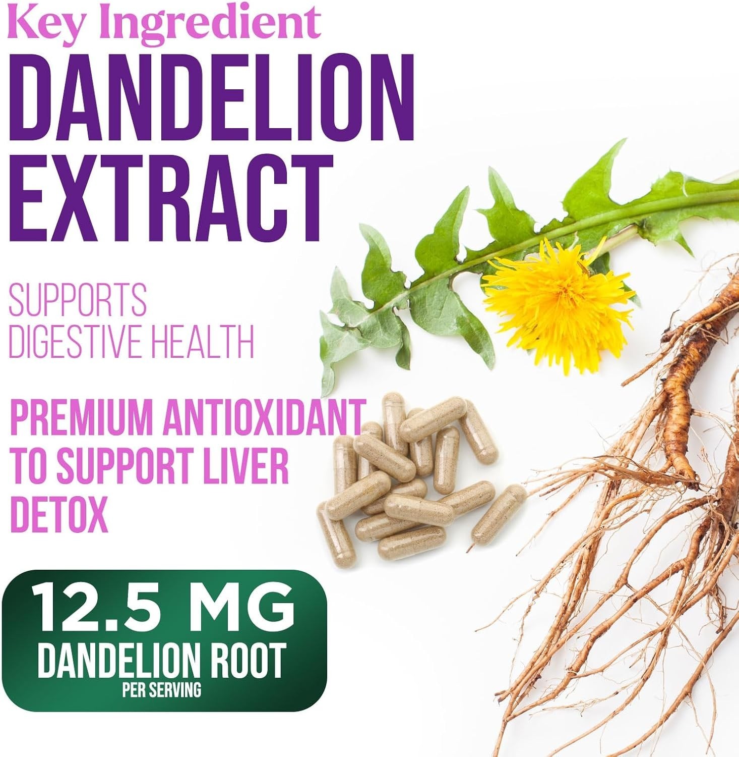 Milk Thistle Supplement – Max Strength 1000mg for Liver Cleanse Detox & Repair