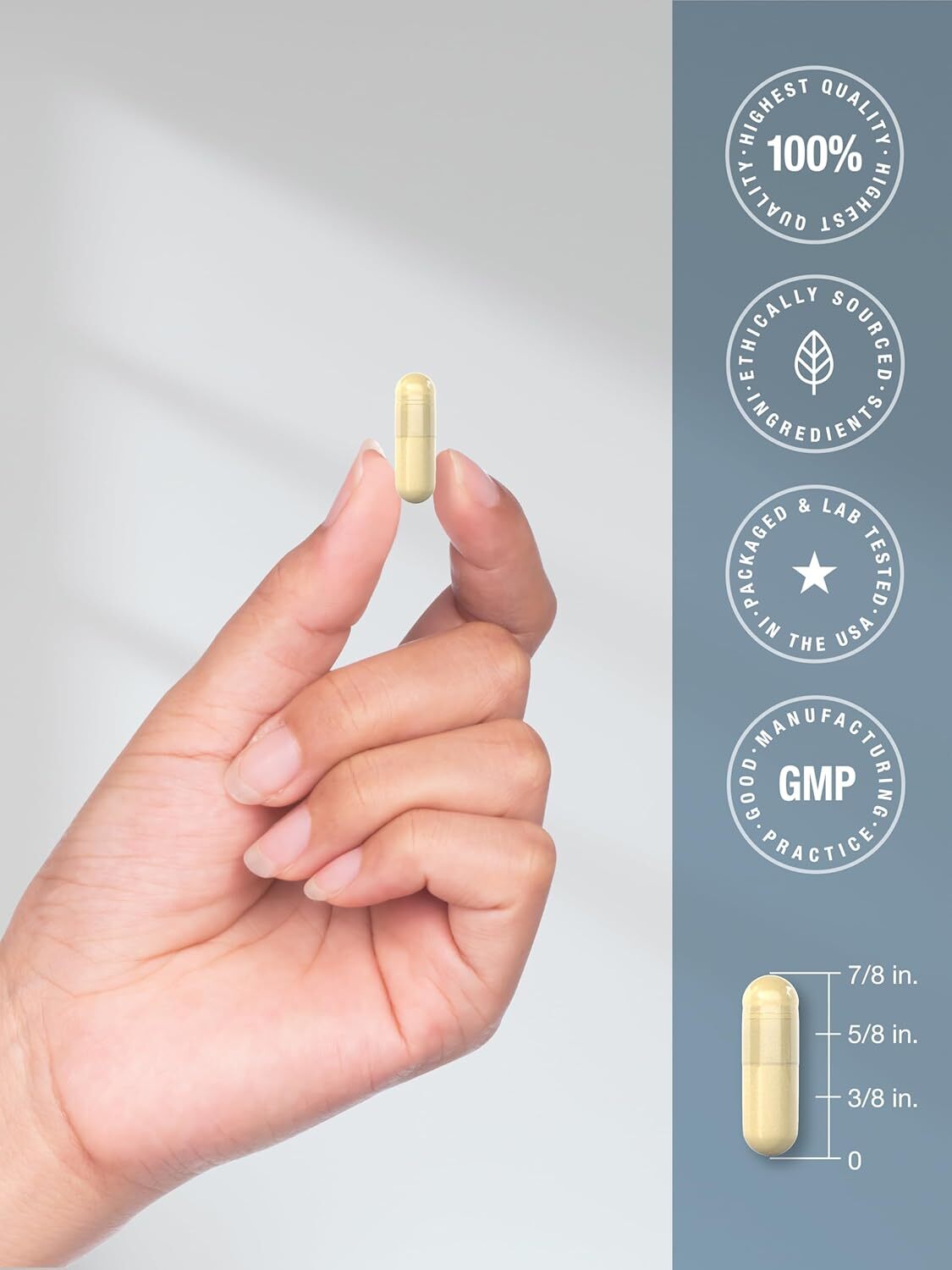 Beta Glucan 1 3D 1000 mg | 90 Capsules | Beta 1,3, 1,6 D | by Horbaach