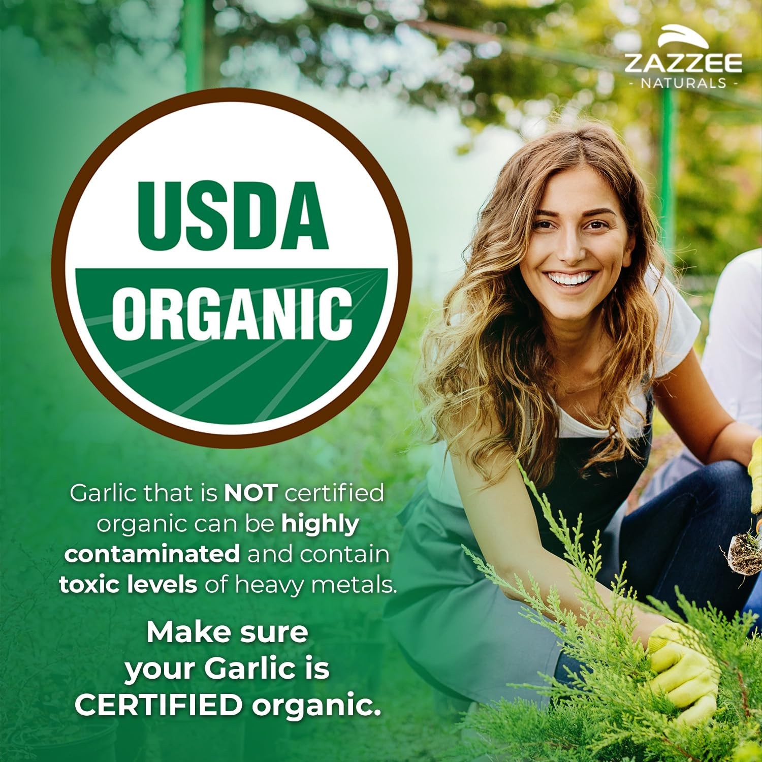 USDA Organic Odorless Garlic 201 Extract, 1% Allicin, 100 Vegan Capsules, 3+ …