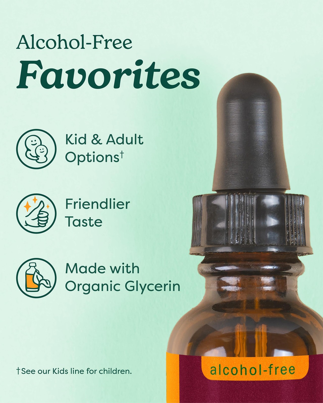 Herb Pharm Kids Immune Fortifier: 4 Fl Oz (Pack of 1), Dark Burgundy