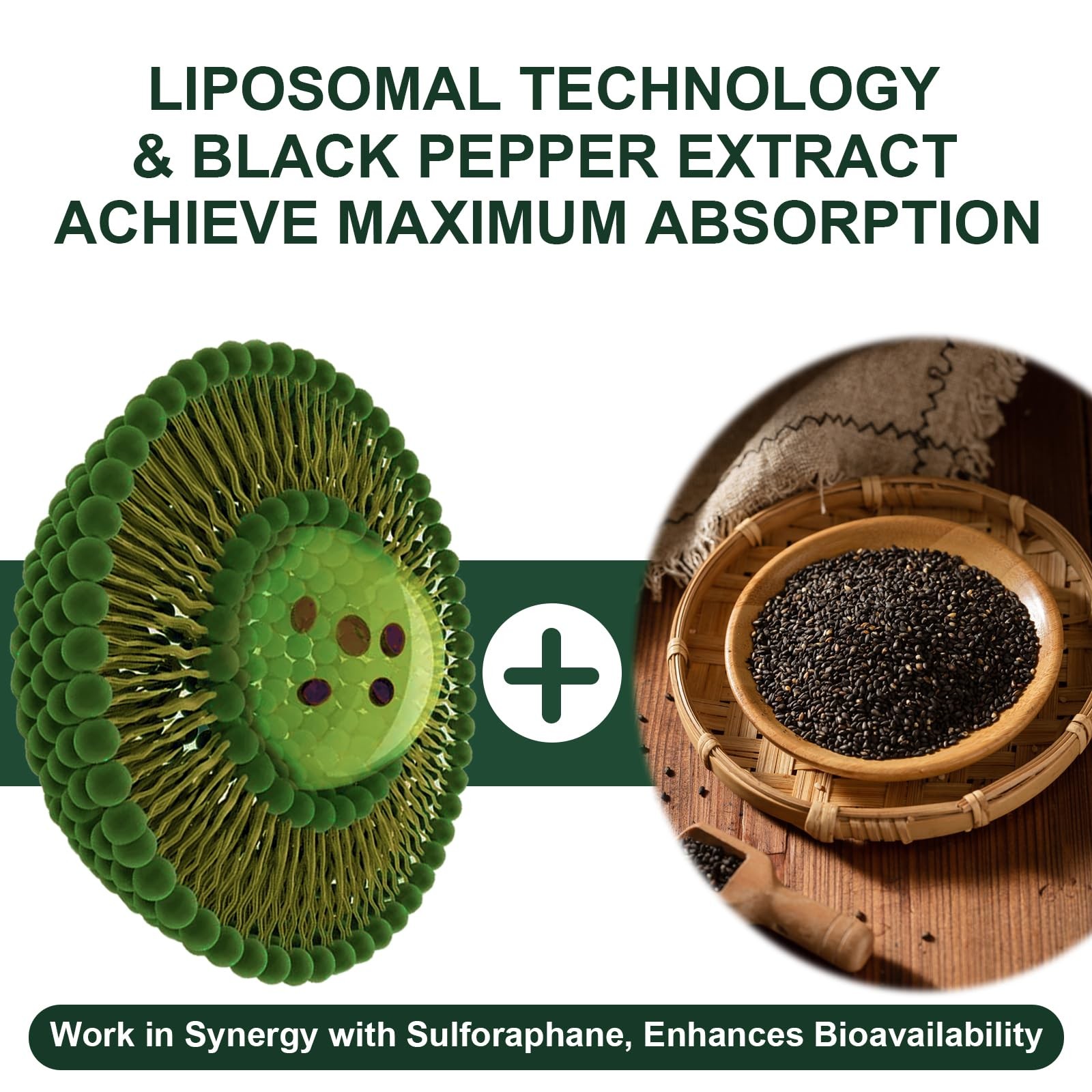 Vitacrllynmn 900Mg Liposomal Sulforaphane Supplement Broccoli Extract Liver