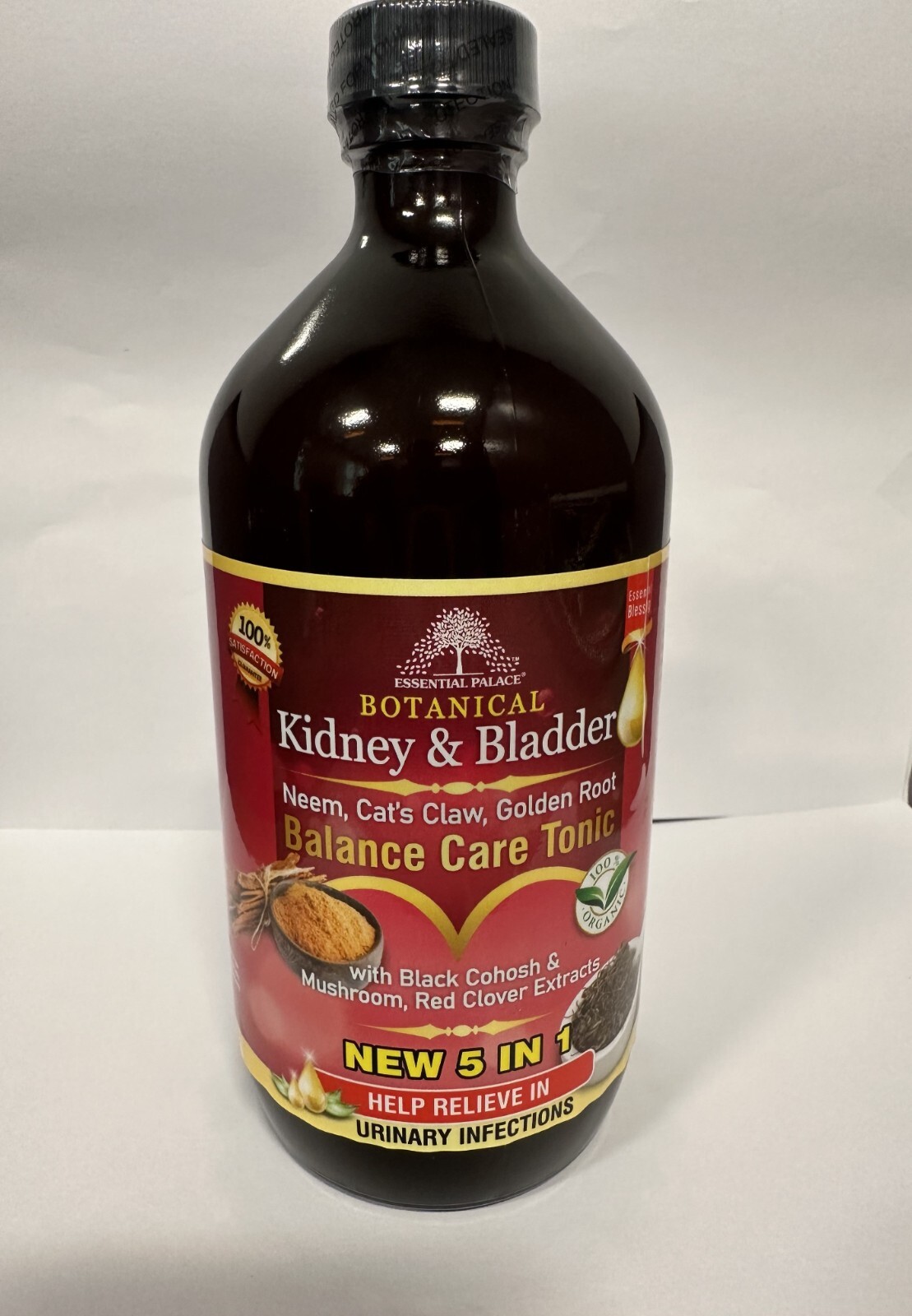 Kidney & Bladder
