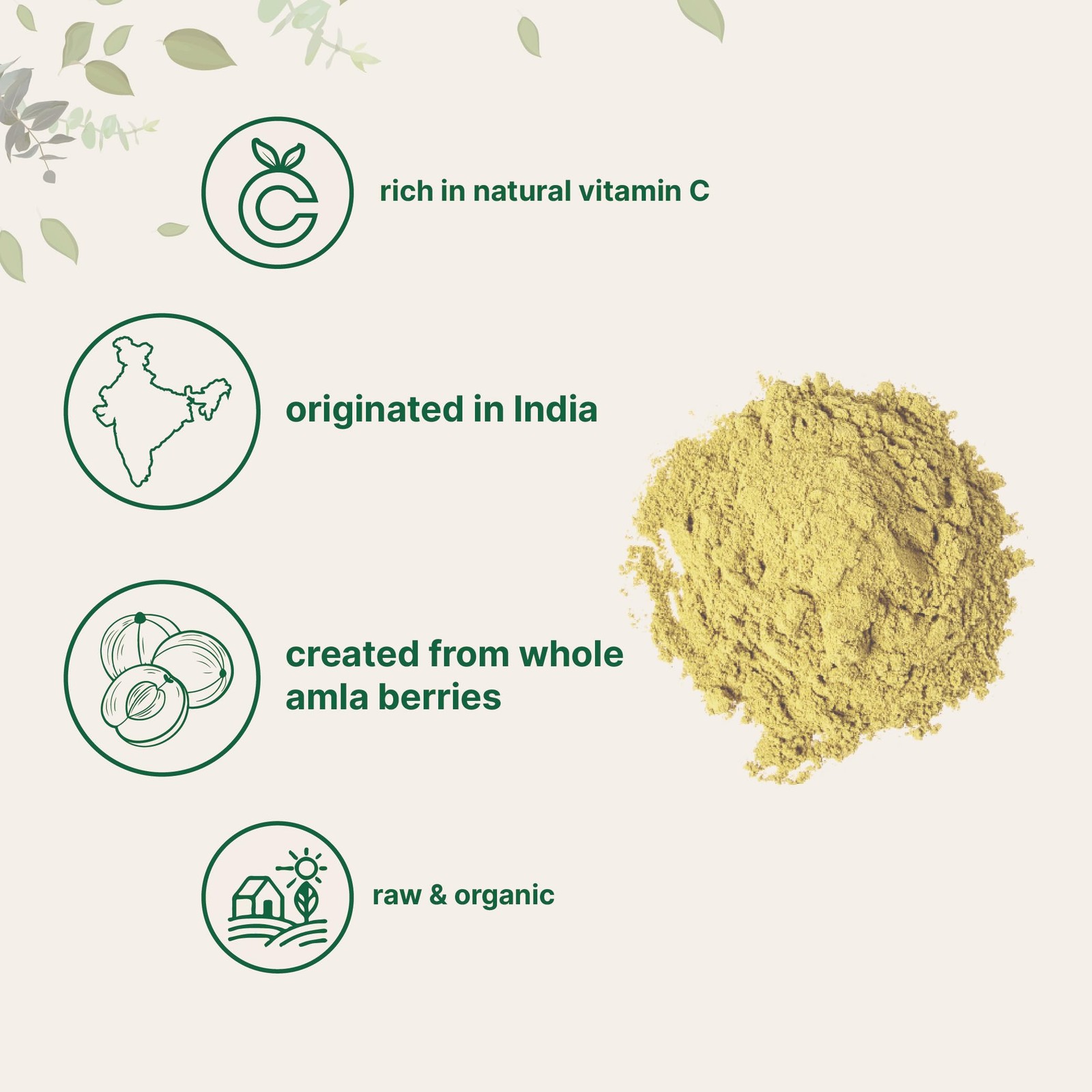 Micro Ingredients Organic Amla Powder (Amalaki) | 32oz, 32 Ounce (Pack of 1)