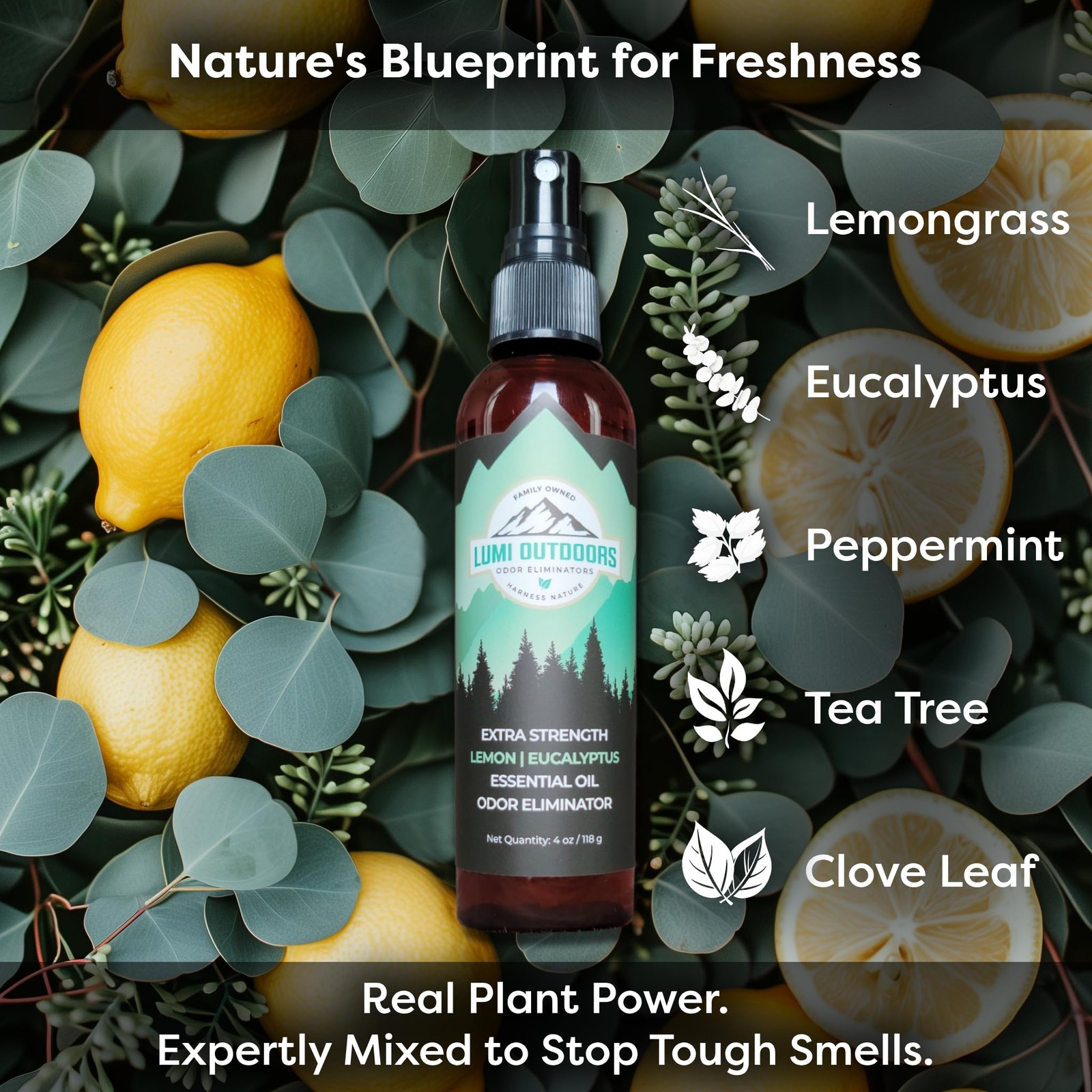 Lumi Outdoors Natural Shoe Deodorizer Spray (700+ Sprays) 4 Fl Oz (Pack of 1)