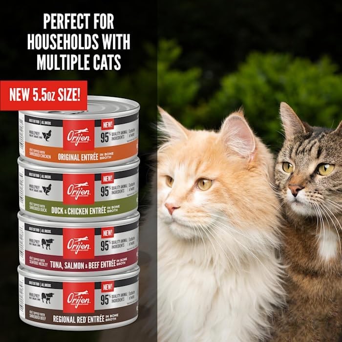 ORIJEN Regional Red Entree in Bone Broth Wet Cat Food,5.5 oz.,Case of 12