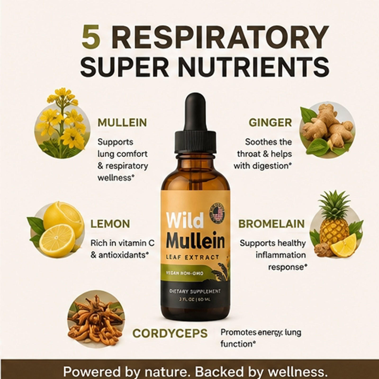 All-Natural Mullein Drops With Ginger & Lemon For Lung Cleanse NEW .bwCV