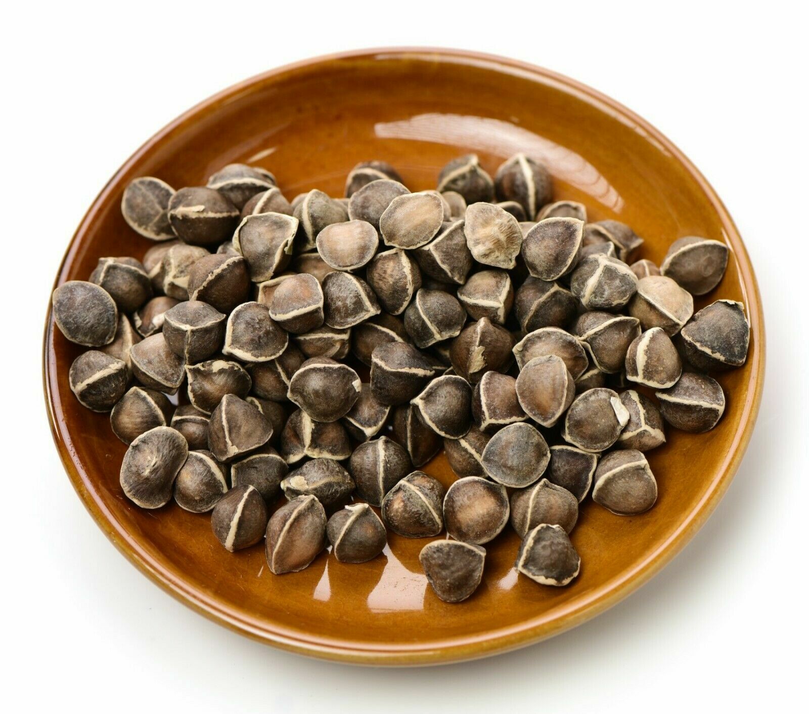 Moringa Oleifera Seeds WINGLESS Fresh Organic Semillas de Moringa Bulk Wholesale
