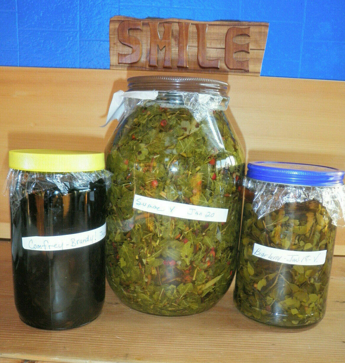 Wild Lettuce Tincture: Organic, Strong & Effective Pain Relief, Soothes Nerves.