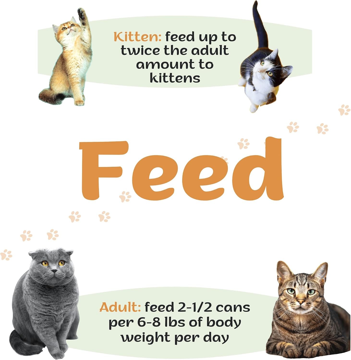 HEAR TO TAIL Heart to Tail CAT Food 5.5 OZ (15 Pack) Turkey & Giblets Entree + G