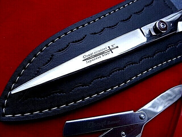 Money Back Warranty 8″ Hairdressing Barber Scissors/Japanese Steel+ 2 x Razors