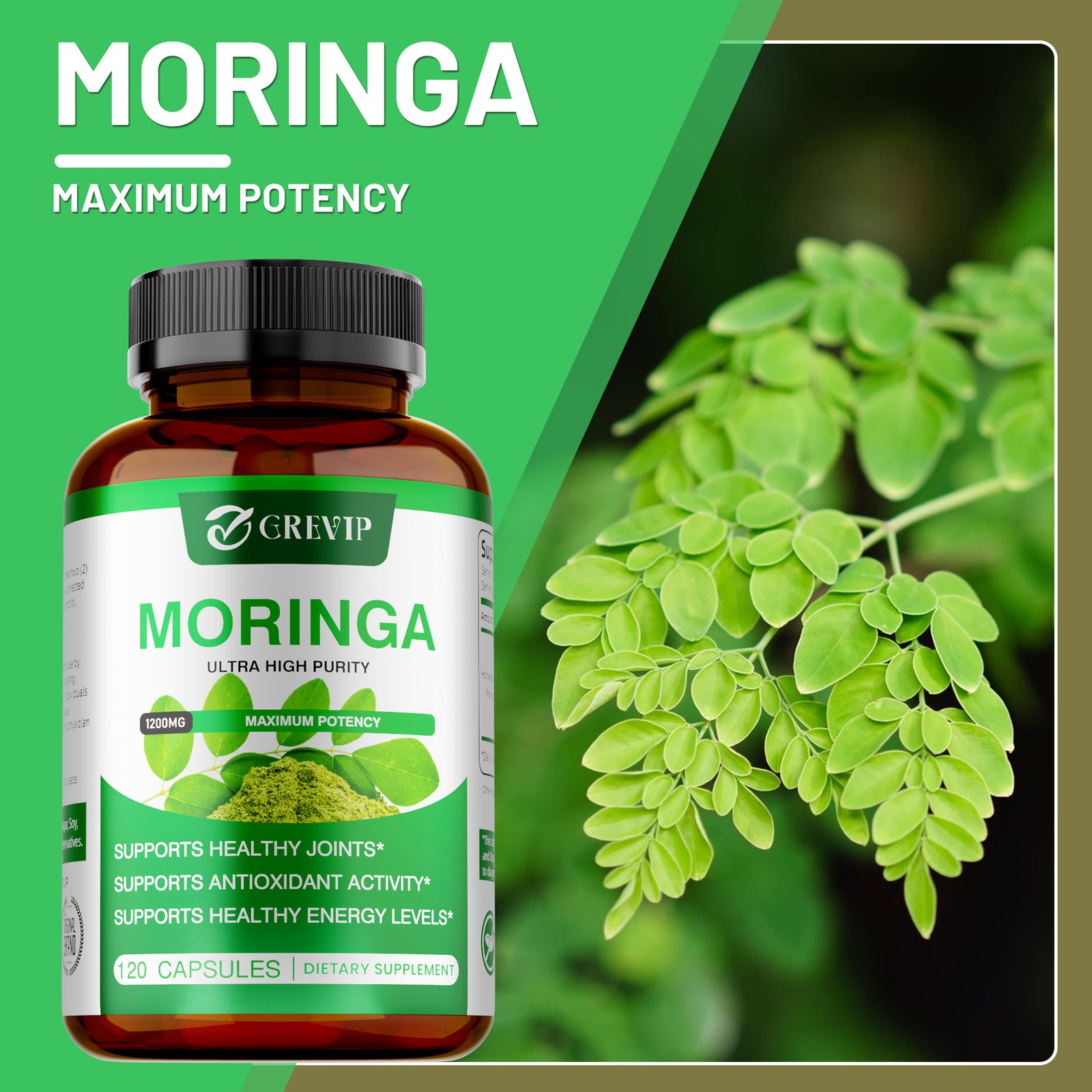 Moringa 240pcs – Supports Immunity, Healthy Skin, Joints, Hair, Metabolism