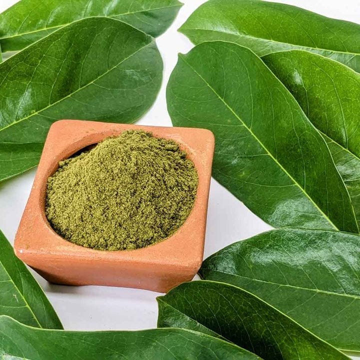 Dried Soursop leaves 300+ leaves / 100% Organic natural Guanabana Graviola
