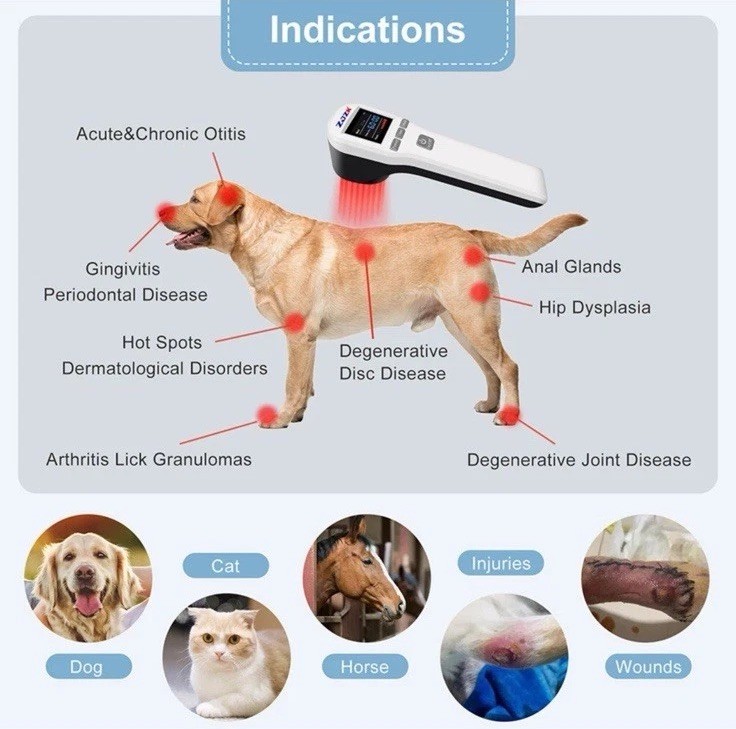 Cold Laser Therapy Device LLLT Red Light Lazer Treatment 650nm+808nm Pain Relief