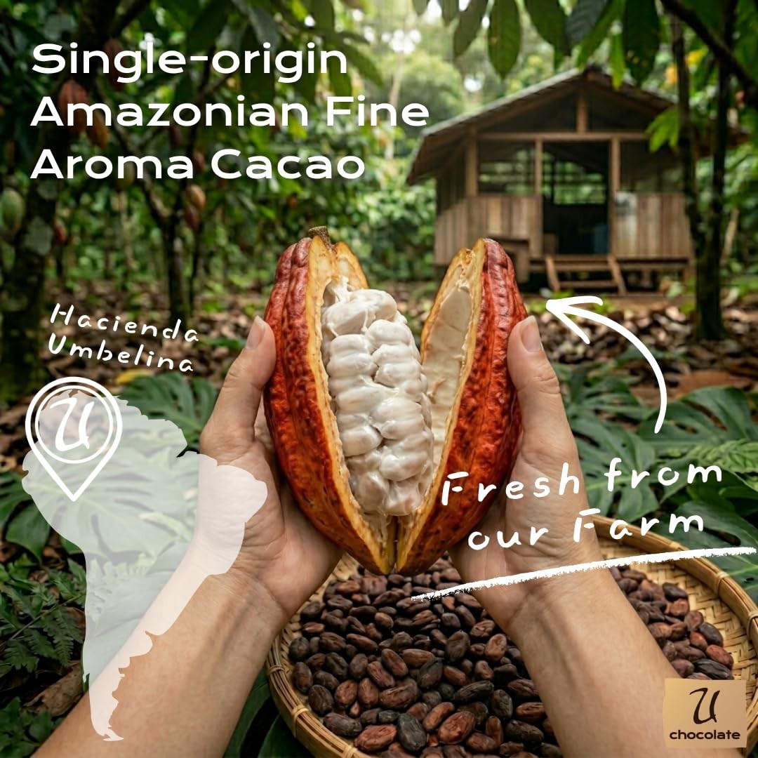 1 LB (16 OZ ) Organic Raw Cacao Powder 100% Pure, ALL NATURAL,ALWAYS FRESH