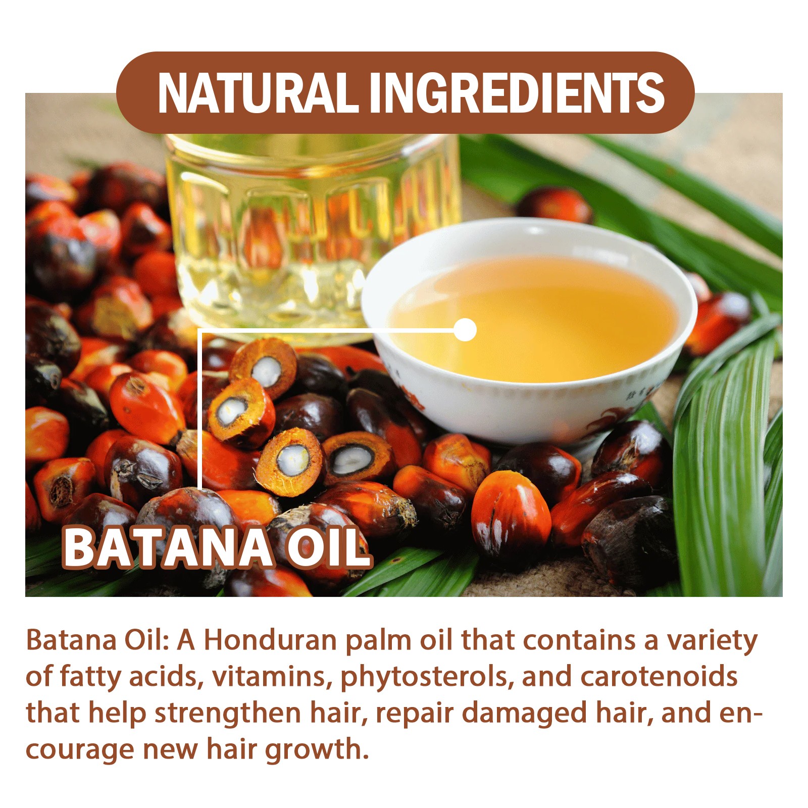 1-5 Pack Batana Oil for Hair Growth Conditioner – Natural Promotes Hair Wellness