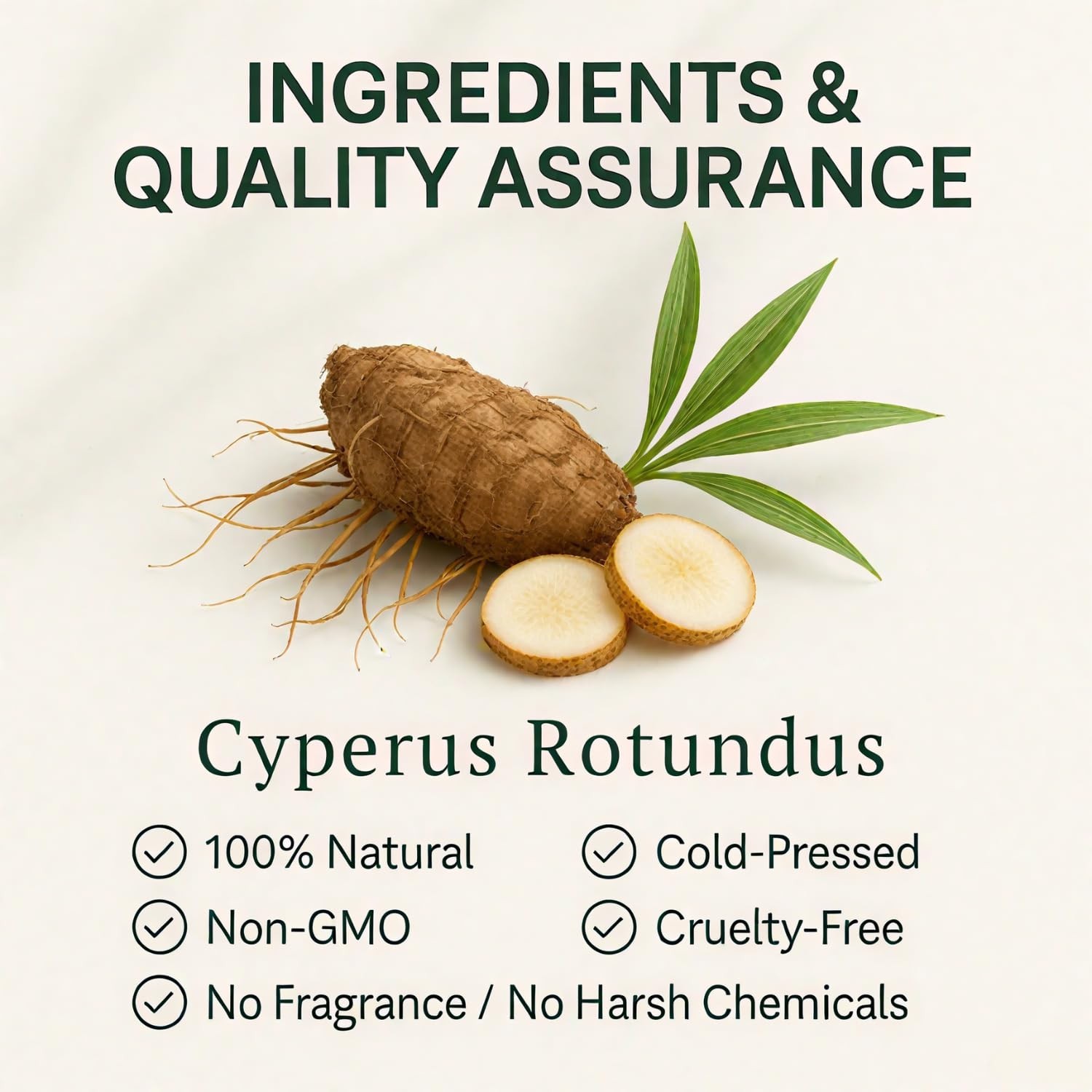 Cyperus Rotundus Oil for Hair Removal 2 PACKS – 100% Pure Natural Cyprus Oil