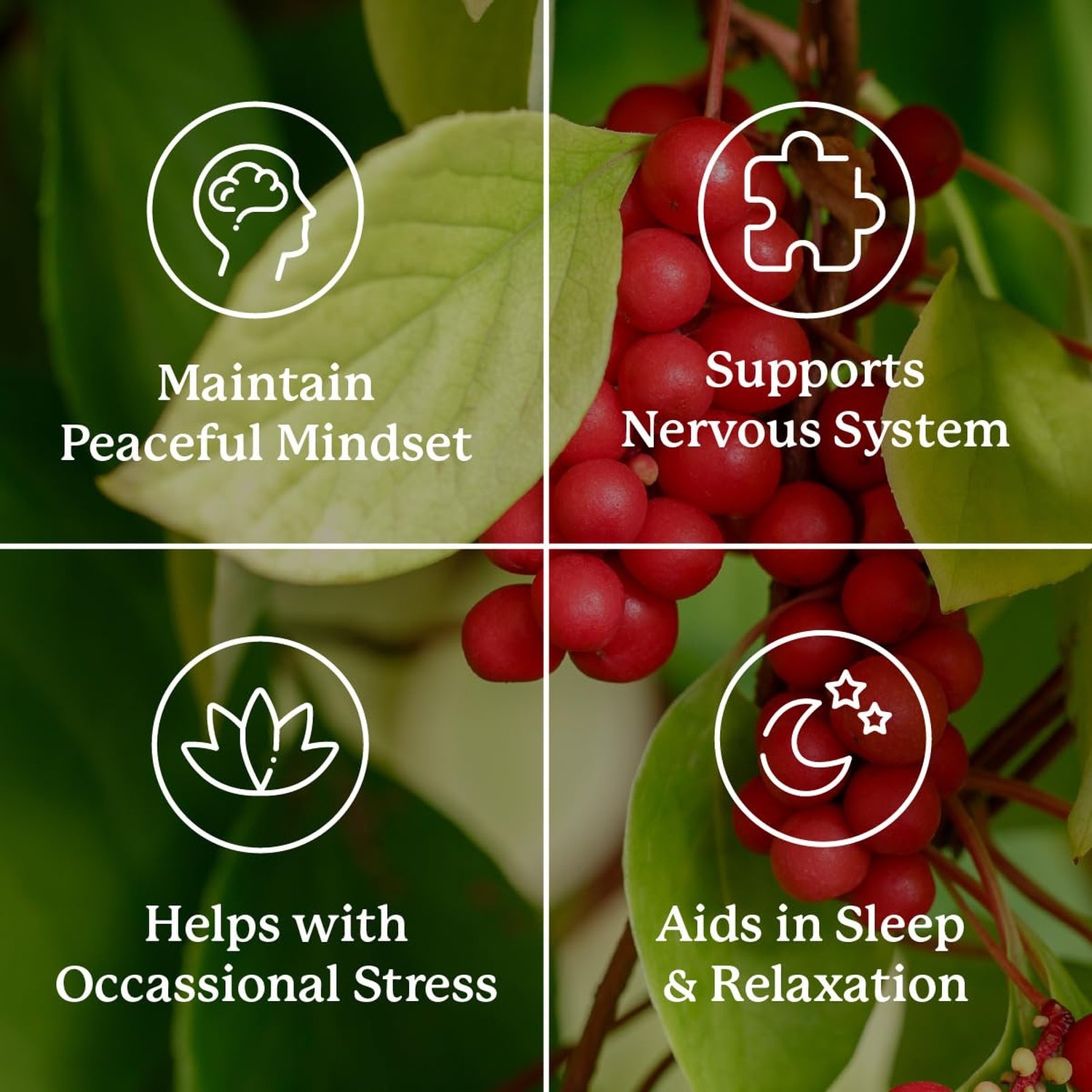Nature’s Sunshine Nutri-Calm- Herbal Stress Relief Supplement for Natural Rel…