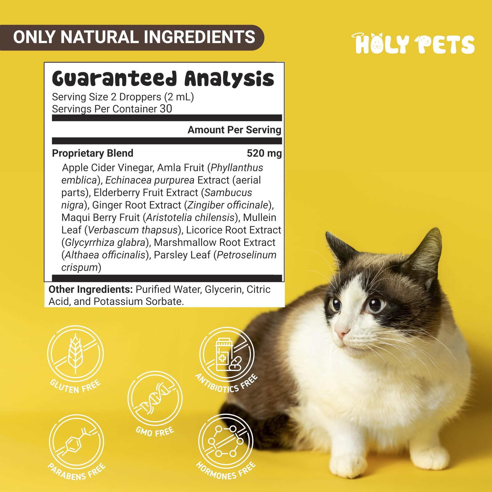 Cough Medicine for Dogs & Cats, Kennel Cough Treatment, Respiratory Infection…