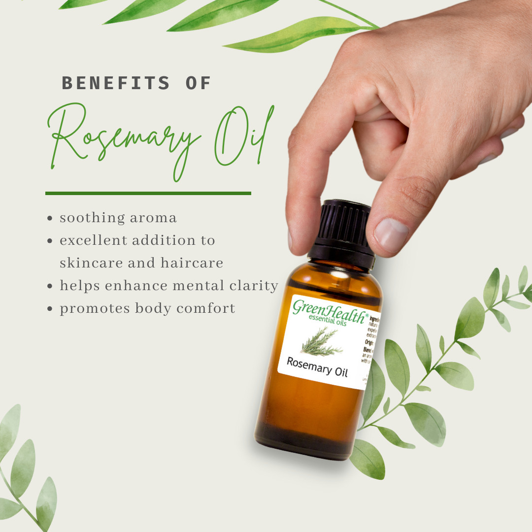 Rosemary Essential Oil 100% Pure Many Sizes FreeShip