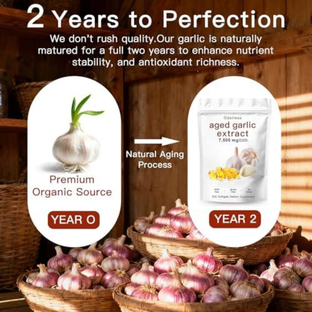 Odorless Garlic 7500mg Per Servings, 300 Softgels | 2 Years Aged Garlic Extra…