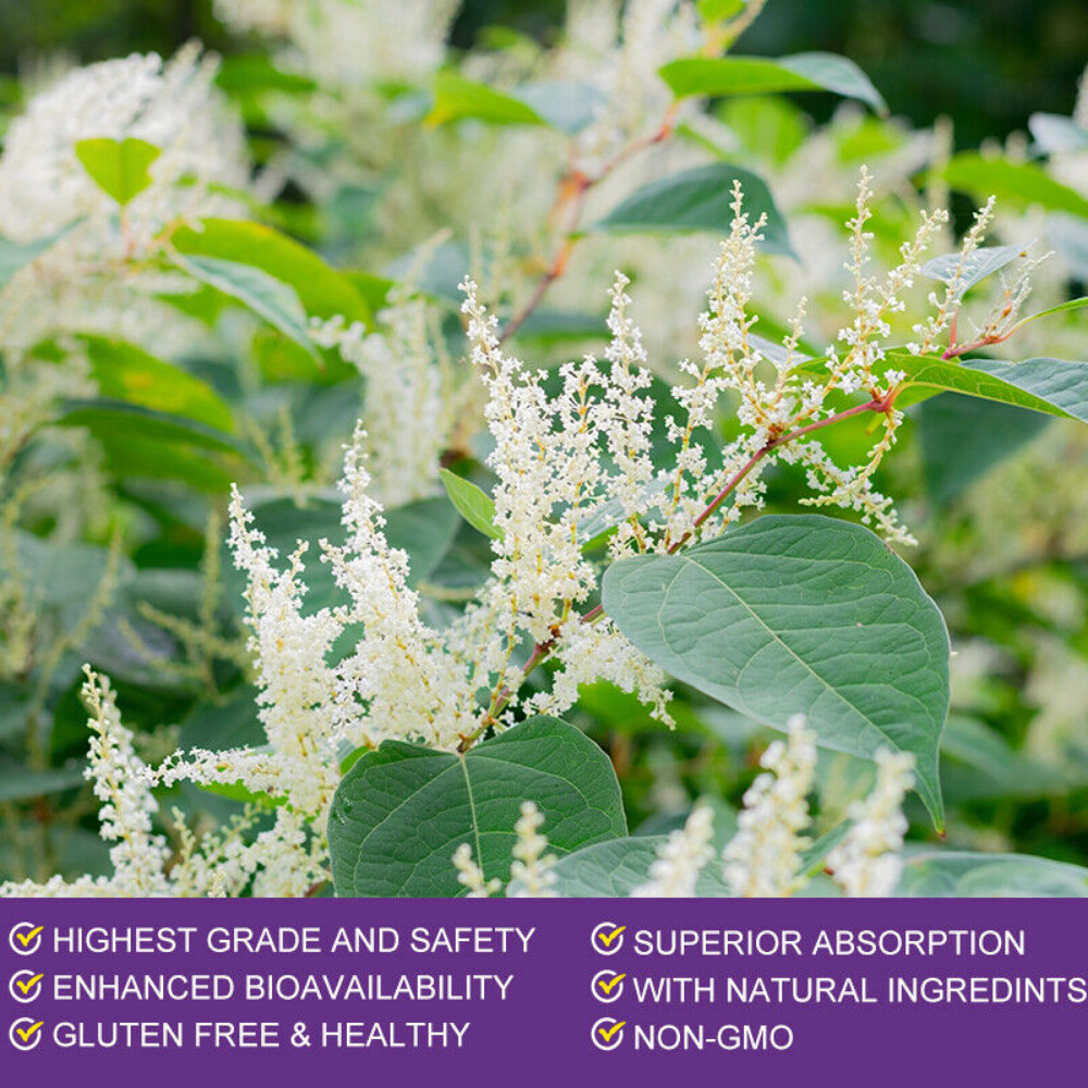 Resveratrol Vegan Softgels Anti-Aging Antioxidants, Brain Support, Radiant Skin