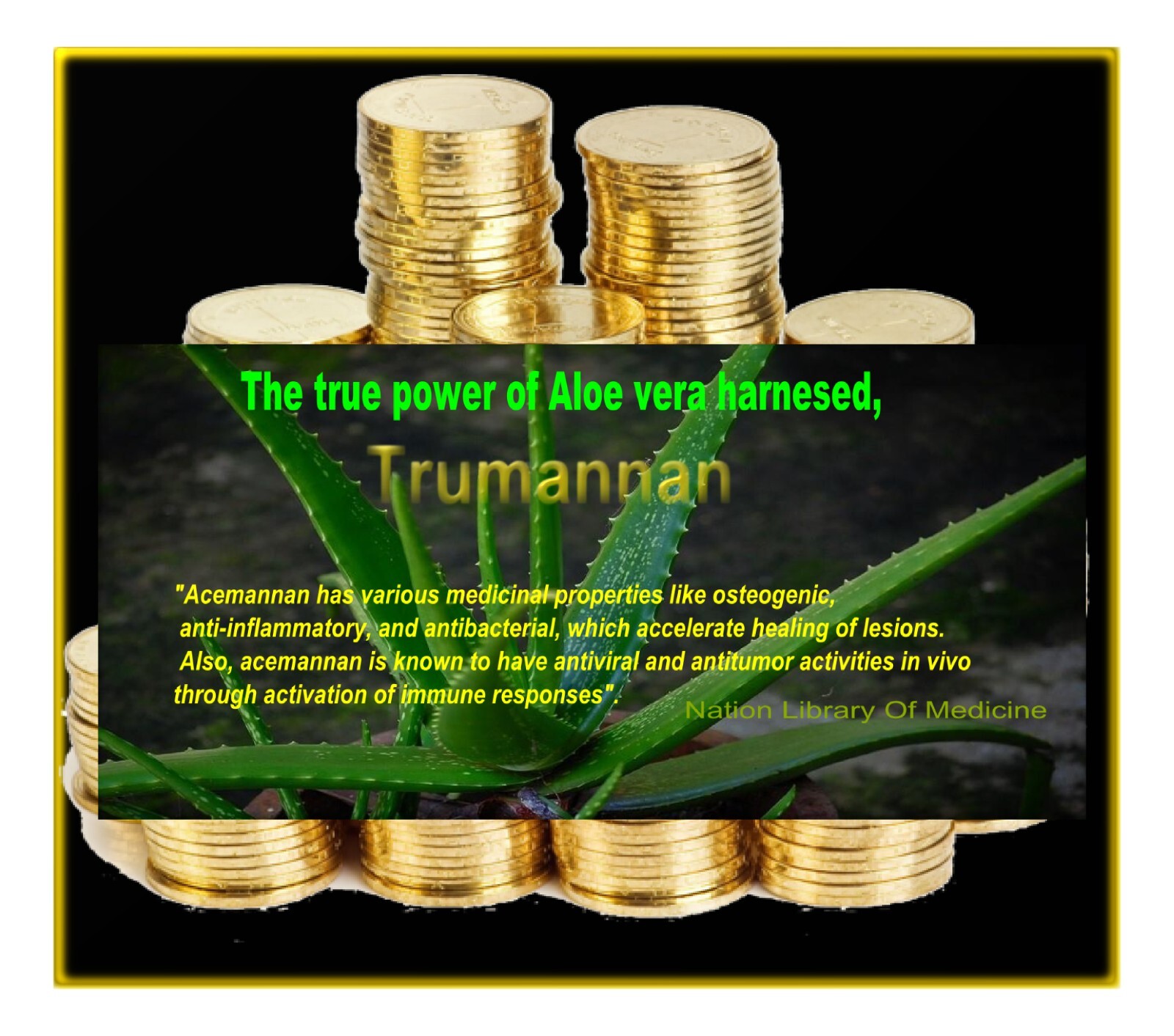 Trumannan Extra 40 % Acemannan Aloe Vera Inner Gel Extract Powder