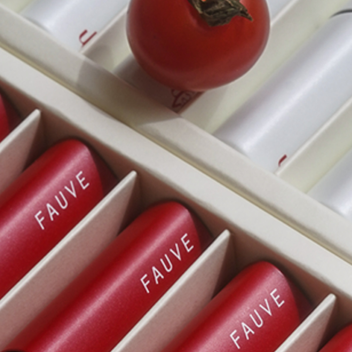 Fauve Gel TOMATO Glitter Syrup & Magnet Red Collection Soak Off Nail Gel