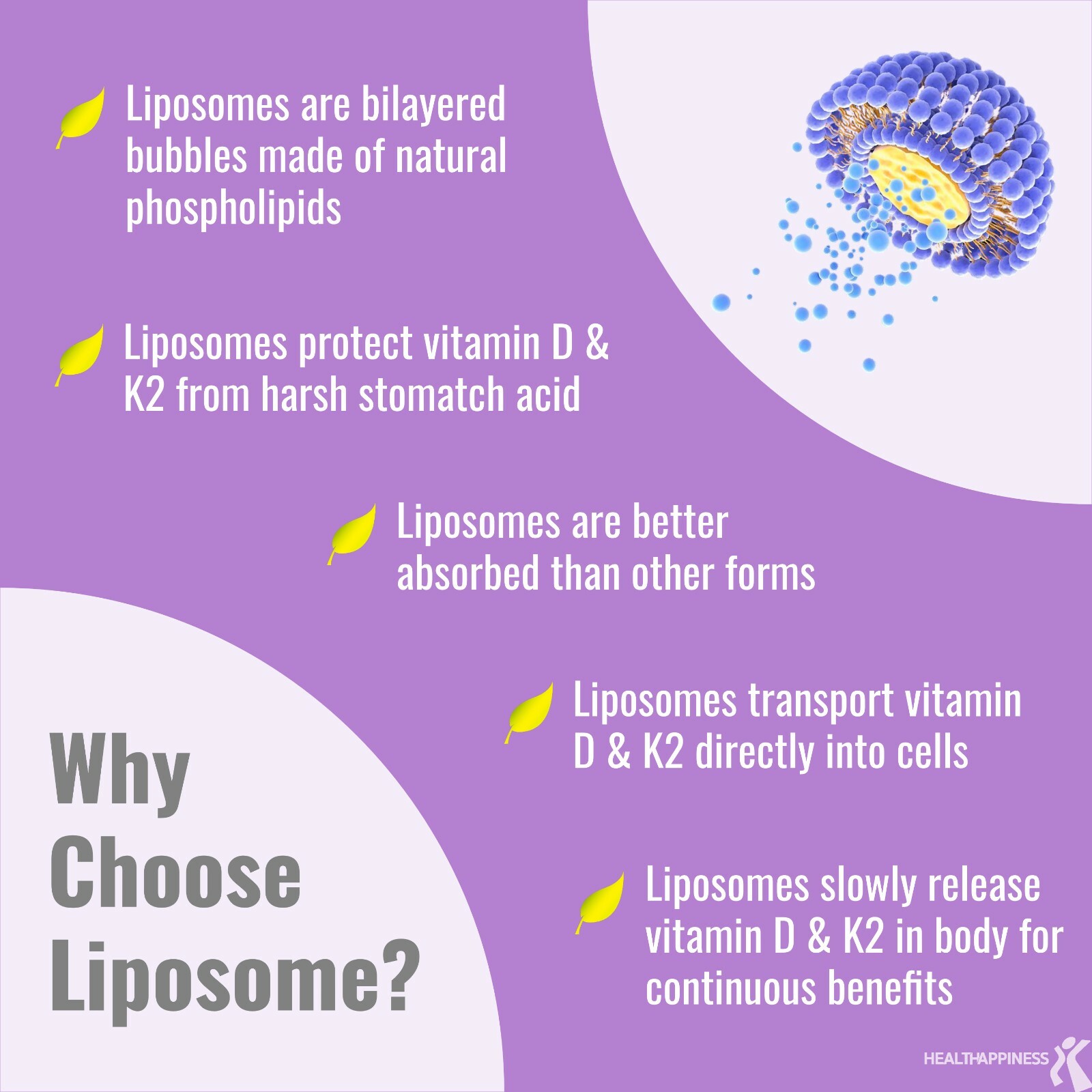 Liposomal Vegan Vitamin D3 5000 IU K2 MK7 & MK4 500 mcg Softgels, 5 month supply