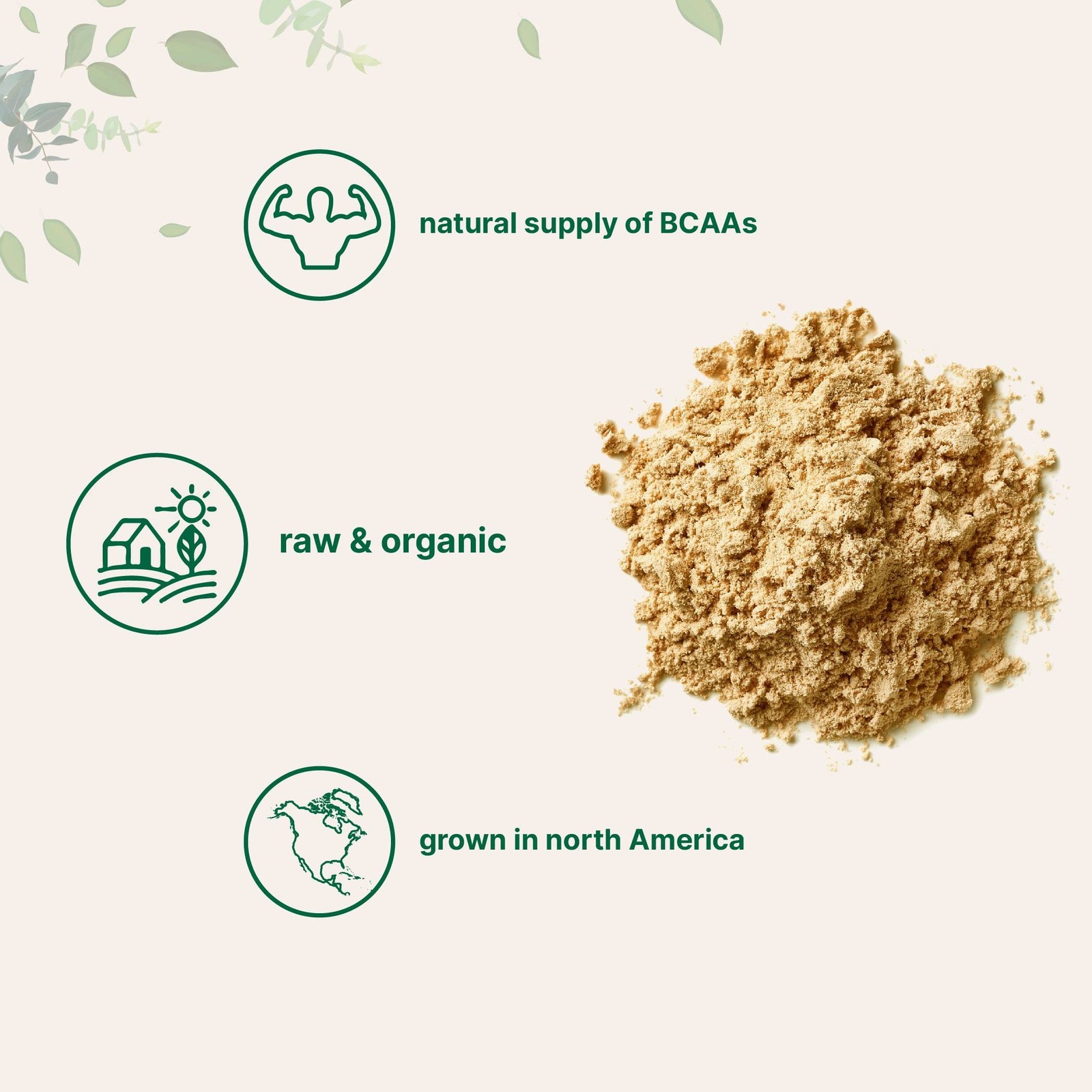 North America Grown, Organic Pea Protein Powder, 1KG 2.2 Pound (Pack of 1)