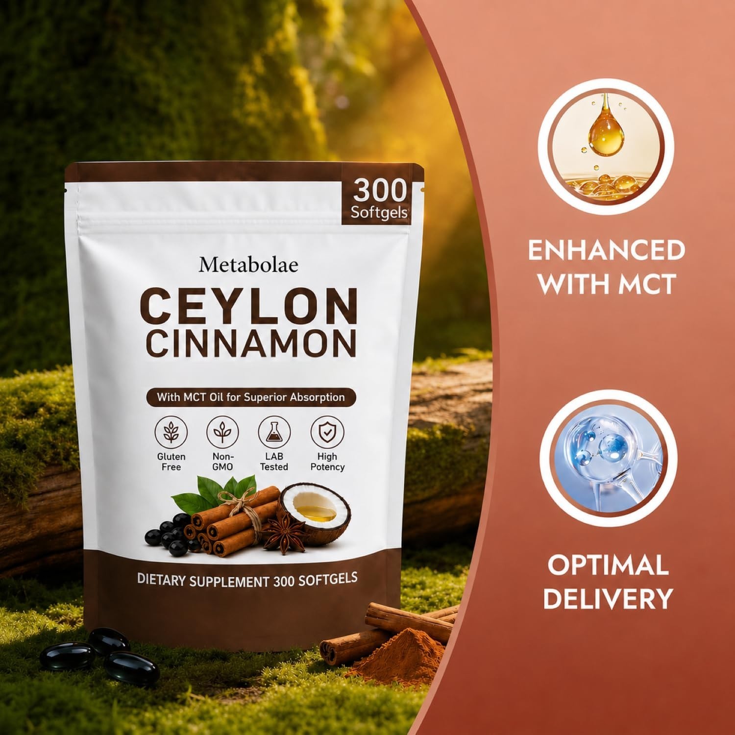 Ceylon Cinnamon Supplements – Plant-Based, Non-GMO, Gluten-Free, 300 Softgels