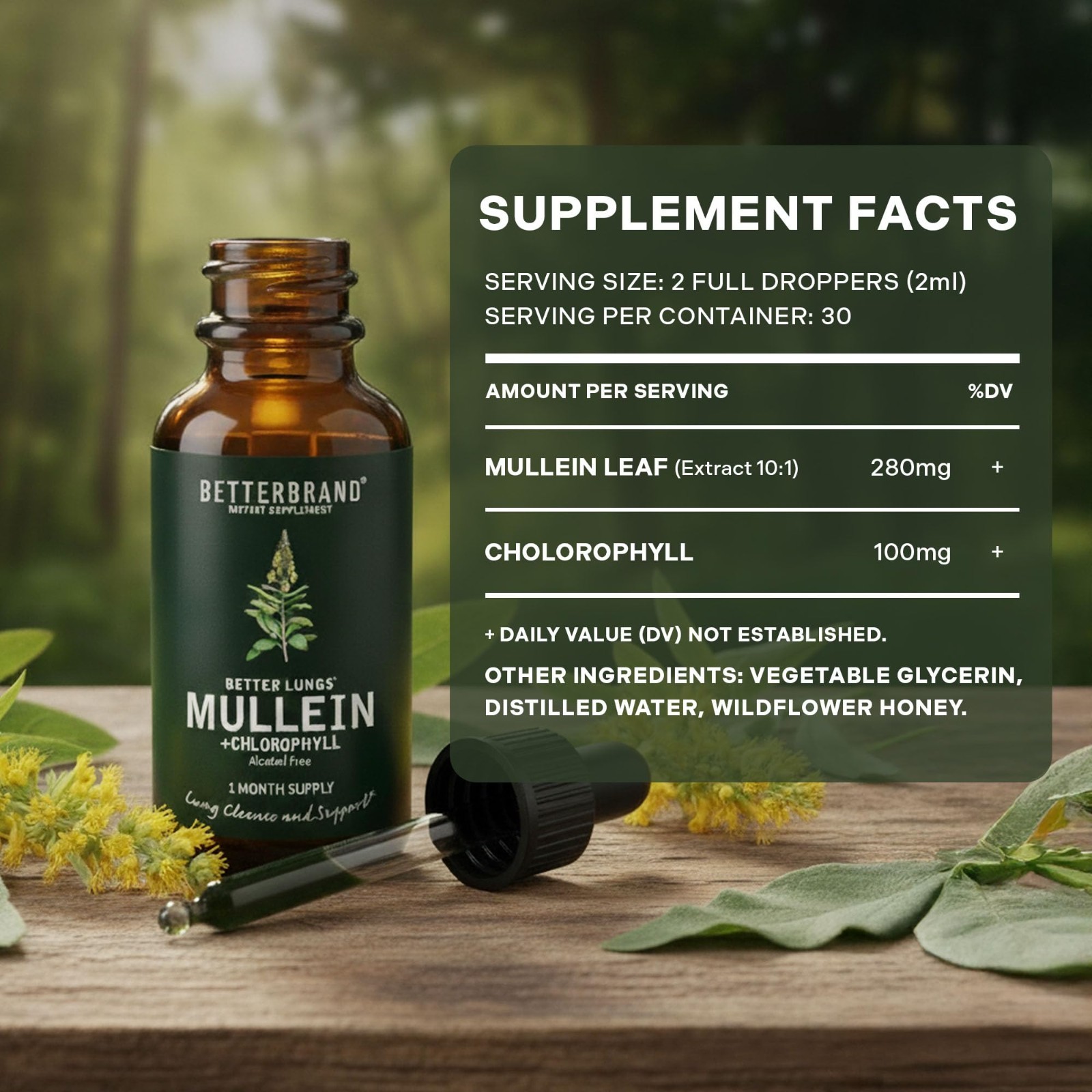 Mullein Leaf Tincture Drops – Lung Detox & Respiratory Support, Alcohol-Free, 1