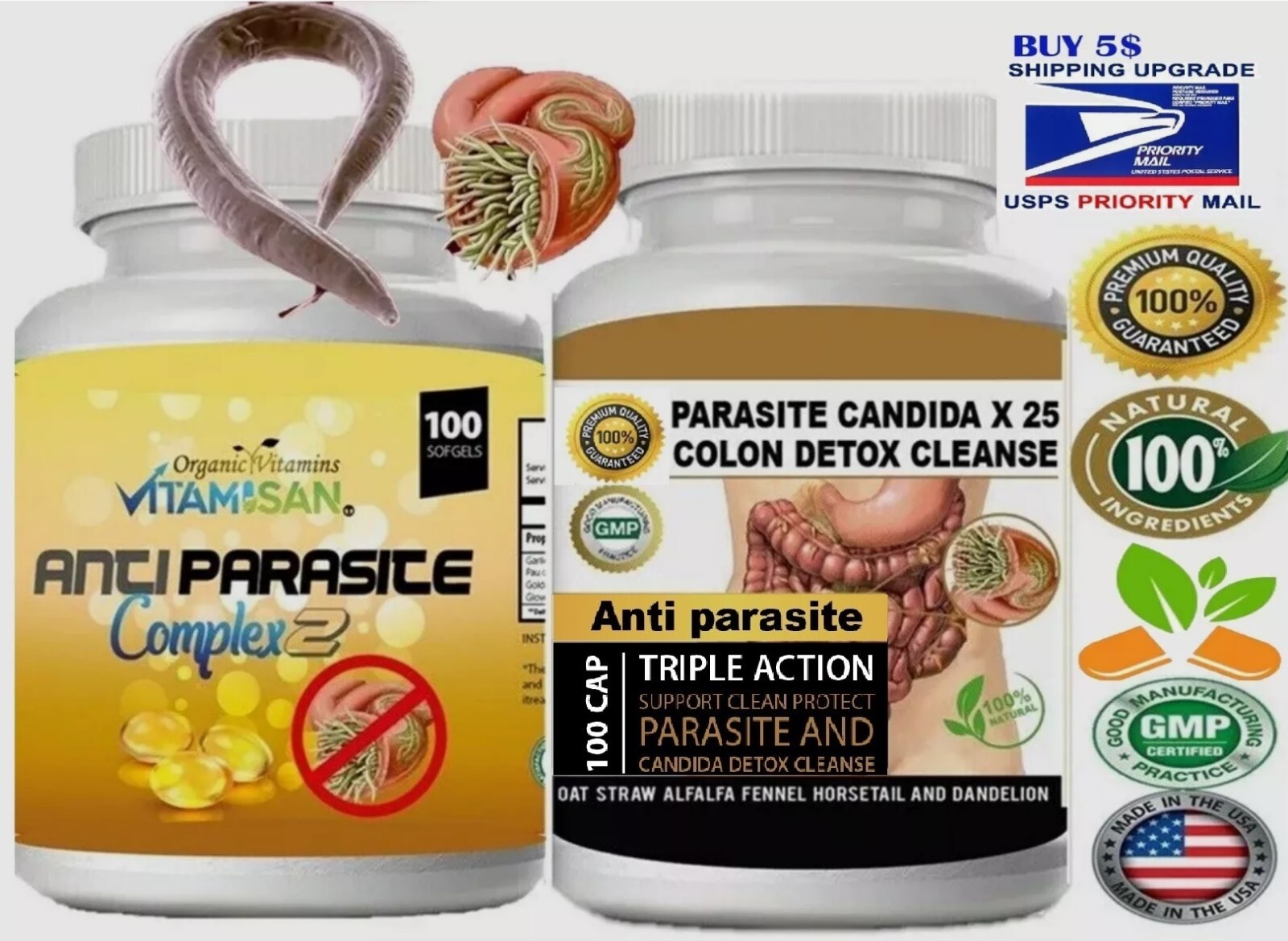 Advanced Parasite & Worm Intestinal Cleanse for Humans kit