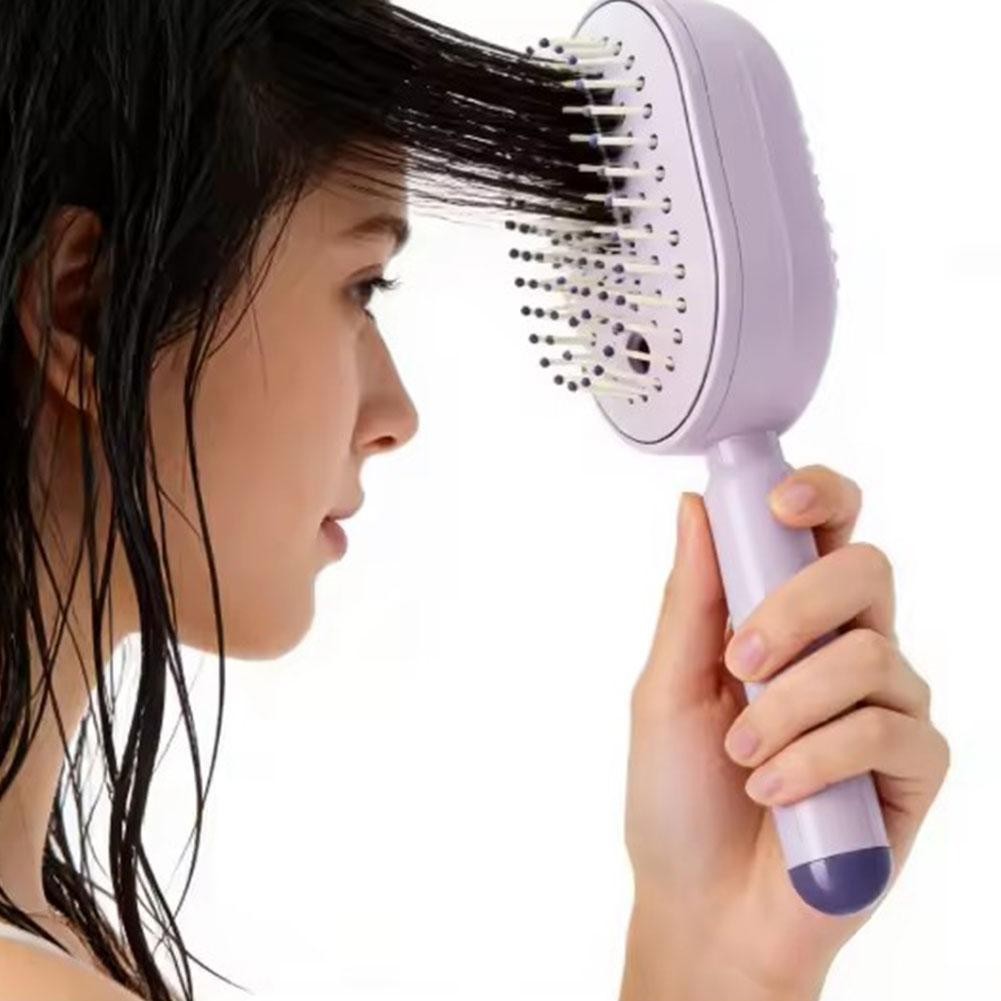 2026 New Electric Steam Brush, Electric Steam Brushs for Hair, Rechargeable