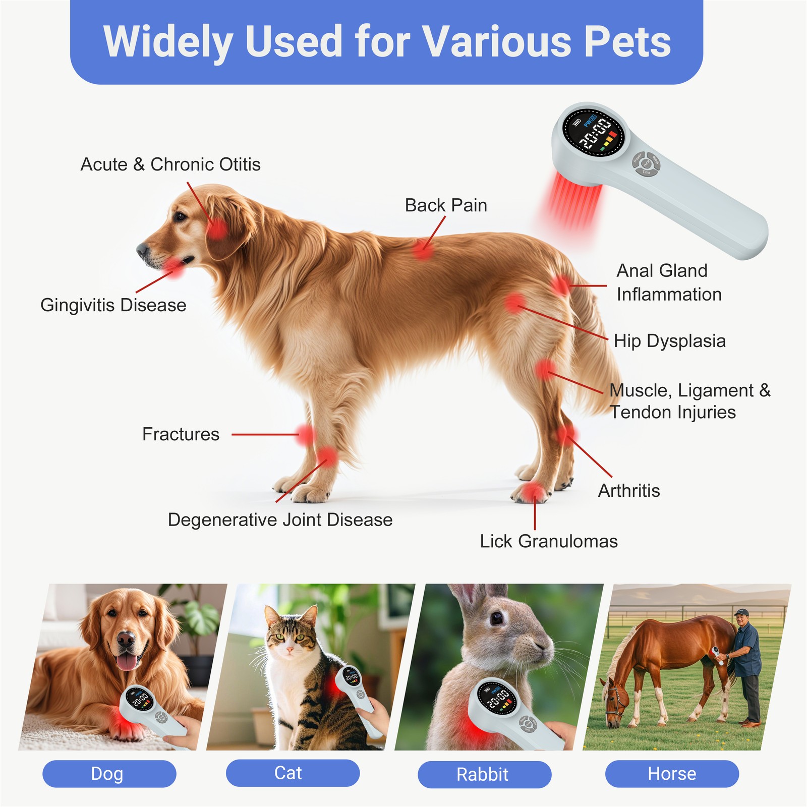 Portable Cold Laser Therapy LLLT Device for Wound Healing Swelling Reduction