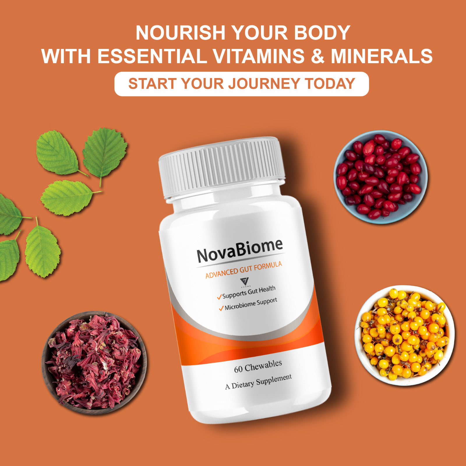 (2 Pack) NovaBiome Advanced Gut Formula, Nova Biom Daily Support (120 Chewables)
