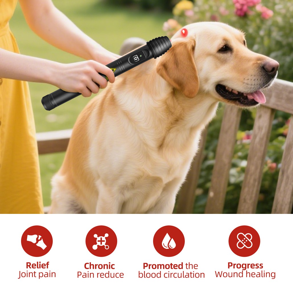 Handheld Cold Laser Therapy Device for Tendonitis Sciatica Pain Relief Improve