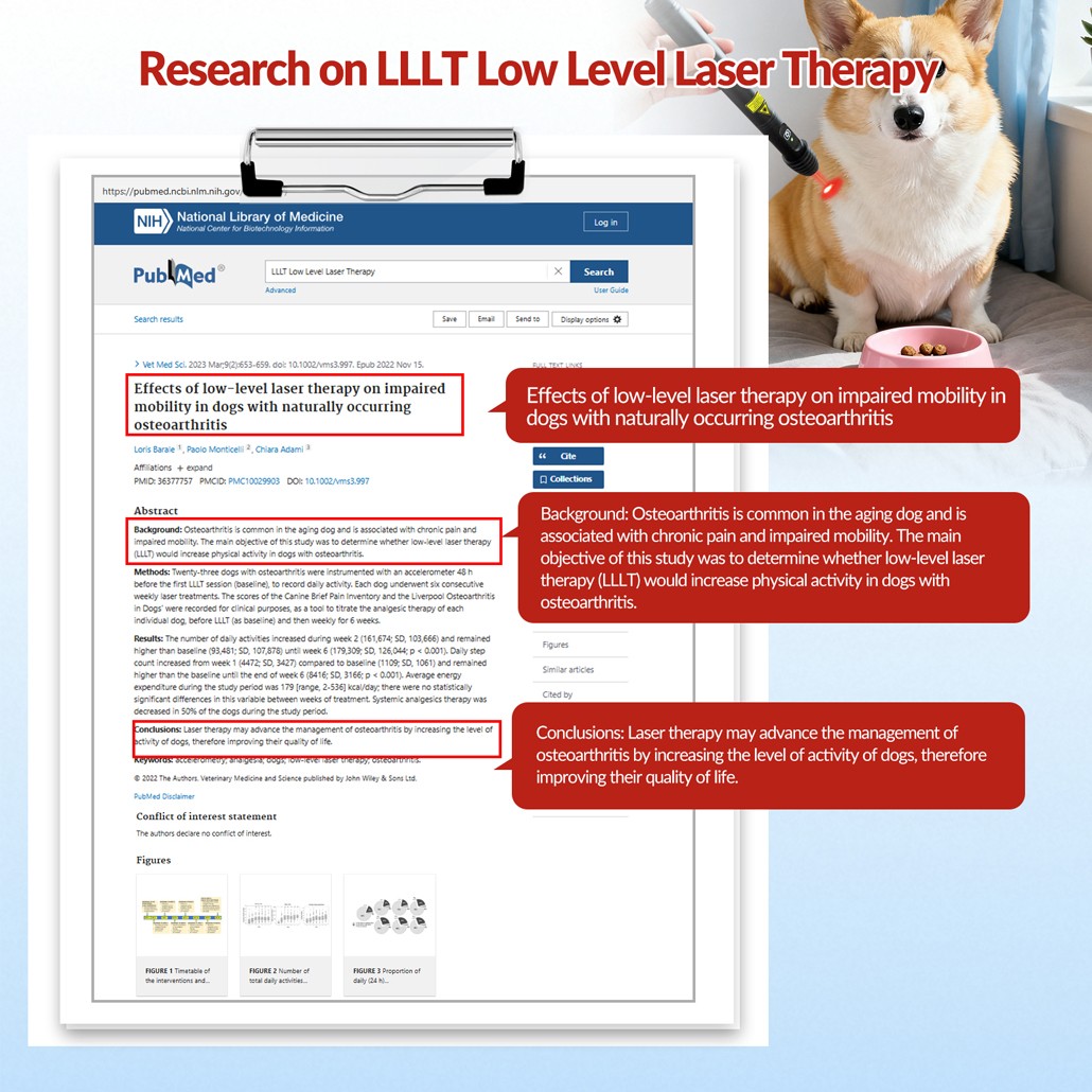 Handheld Cold Laser Therapy Device for Tendonitis Sciatica Pain Relief Improve