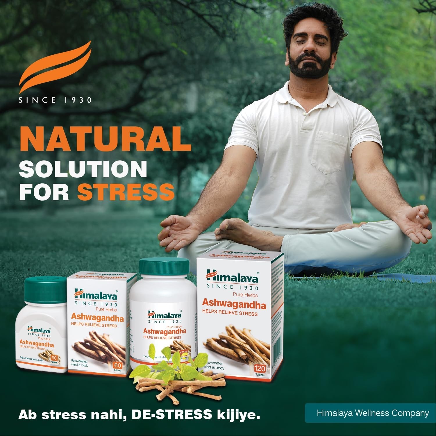 Himalaya Ashwagandha – General Wellness Tablets | Stress Relief | Rejuvenates X5