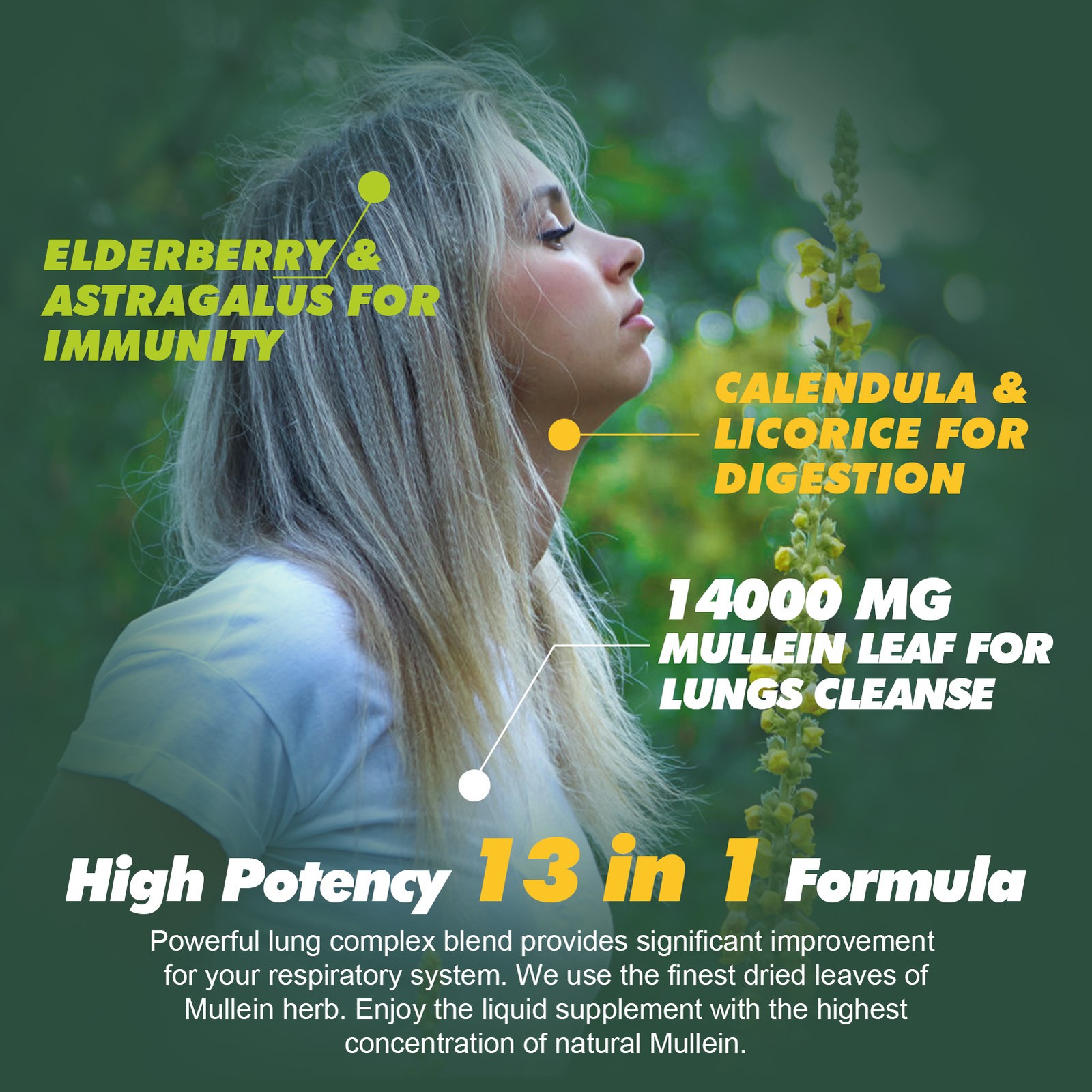 Mullein Leaf Extract Liquid Natural 13-in-1 Lung Cleanse & Detox Supplement
