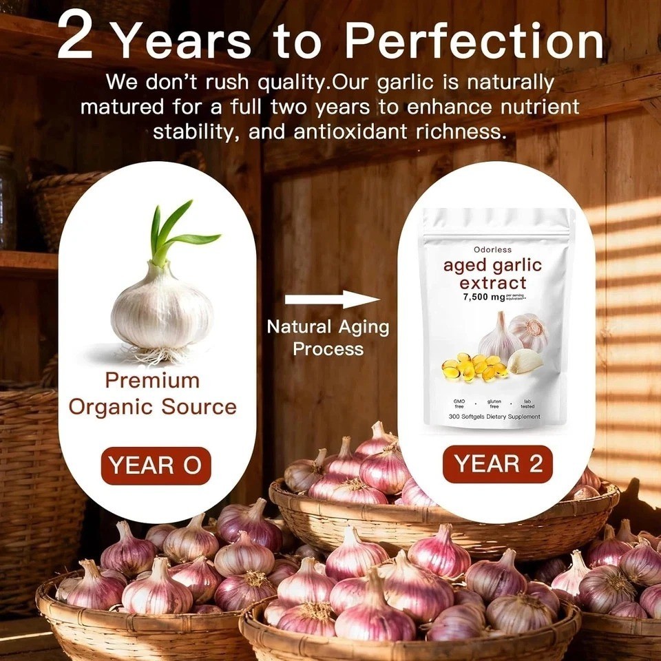 Odorless Garlic 7500mg Per Servings, 300 Softgels | 2 Years Aged Garlic Extra…