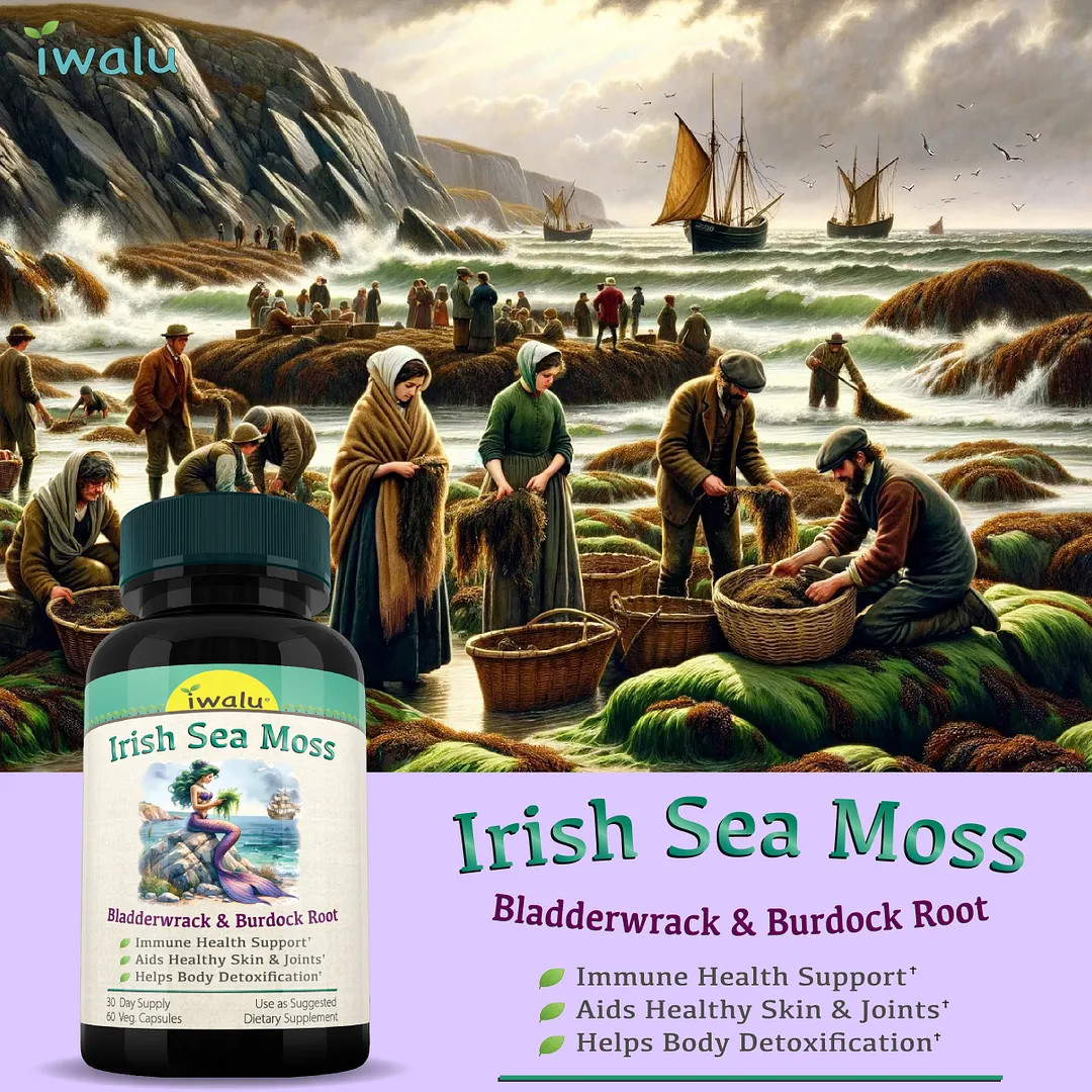 Nutri Organic Sea Moss | Best Supplement Capsule Pill Men Women FREE SHIP