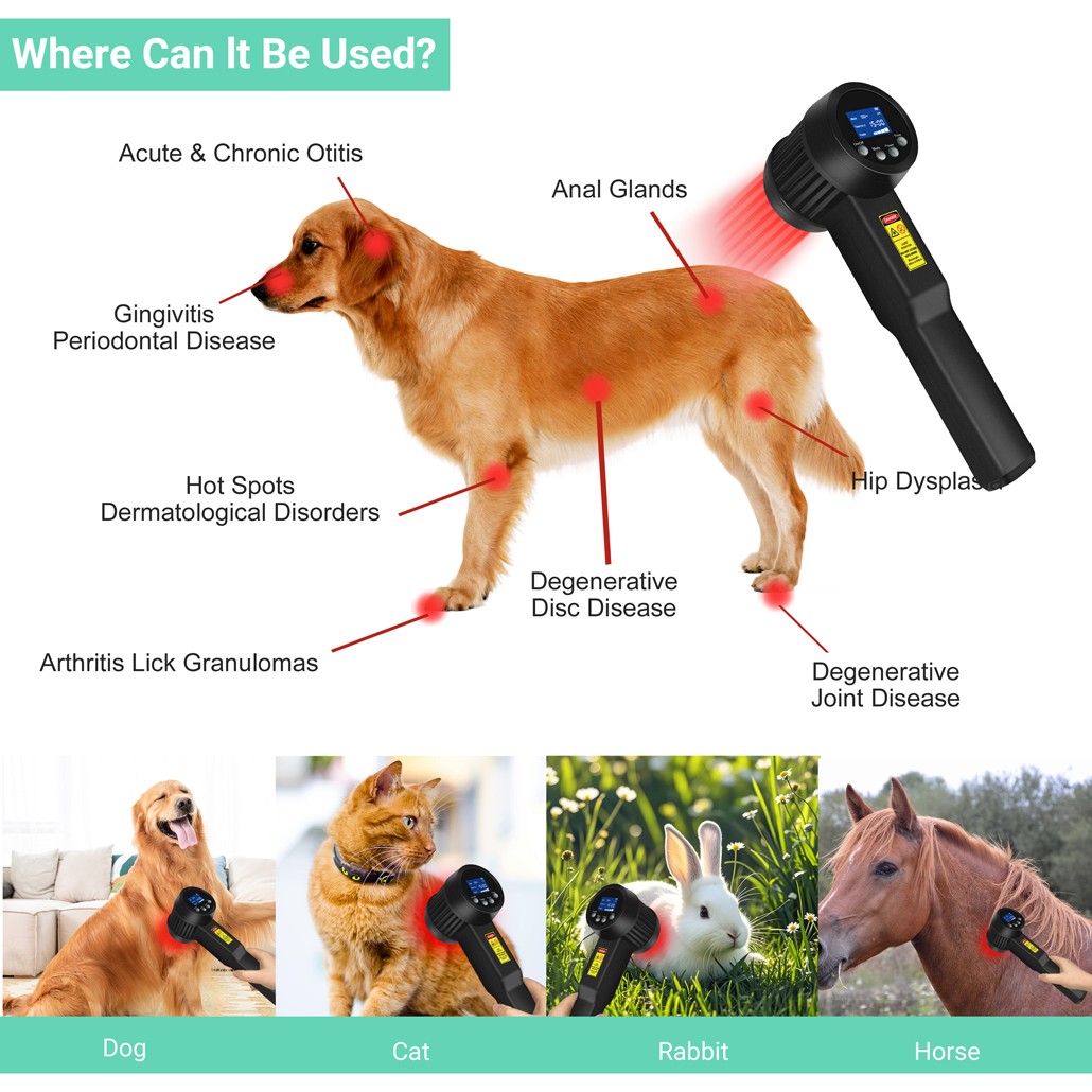 Non-invasive Laser Therapy 650nm 808nm Red Light Physiotherapy Device for Pain