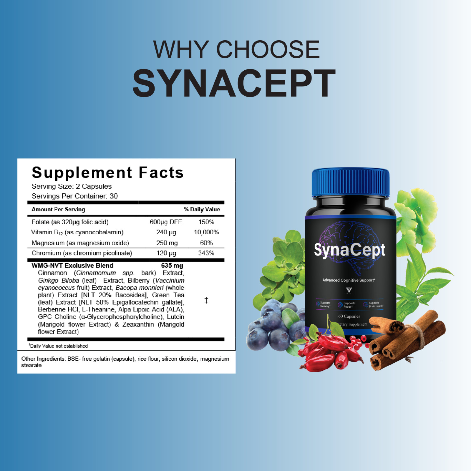 Synacept Advanced Brain Support, Syna Cept Supplement (60 Capsules)